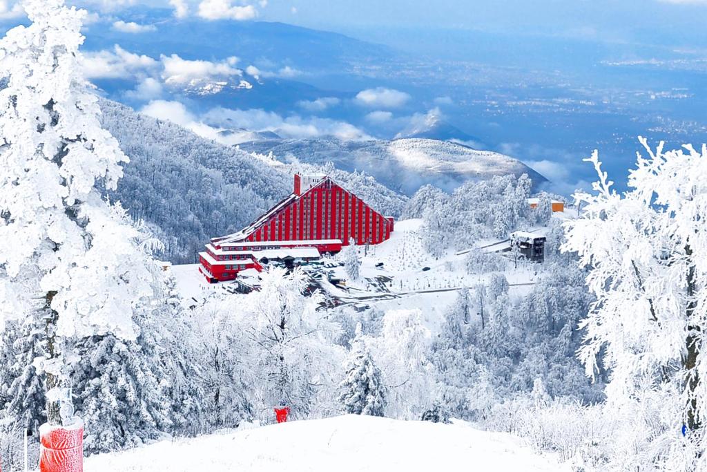 Kartepe, Cam Teras, Ormanya Turu