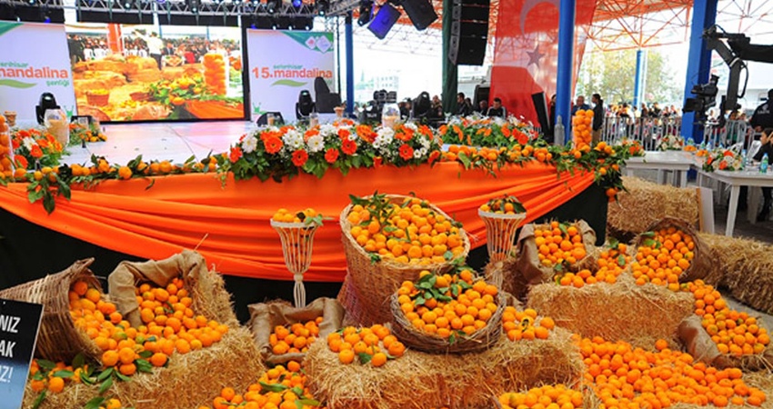 İzmir Mandalina Festival turu 